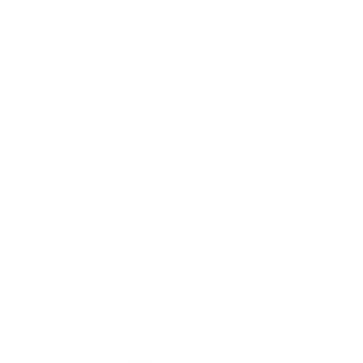TikTok 1