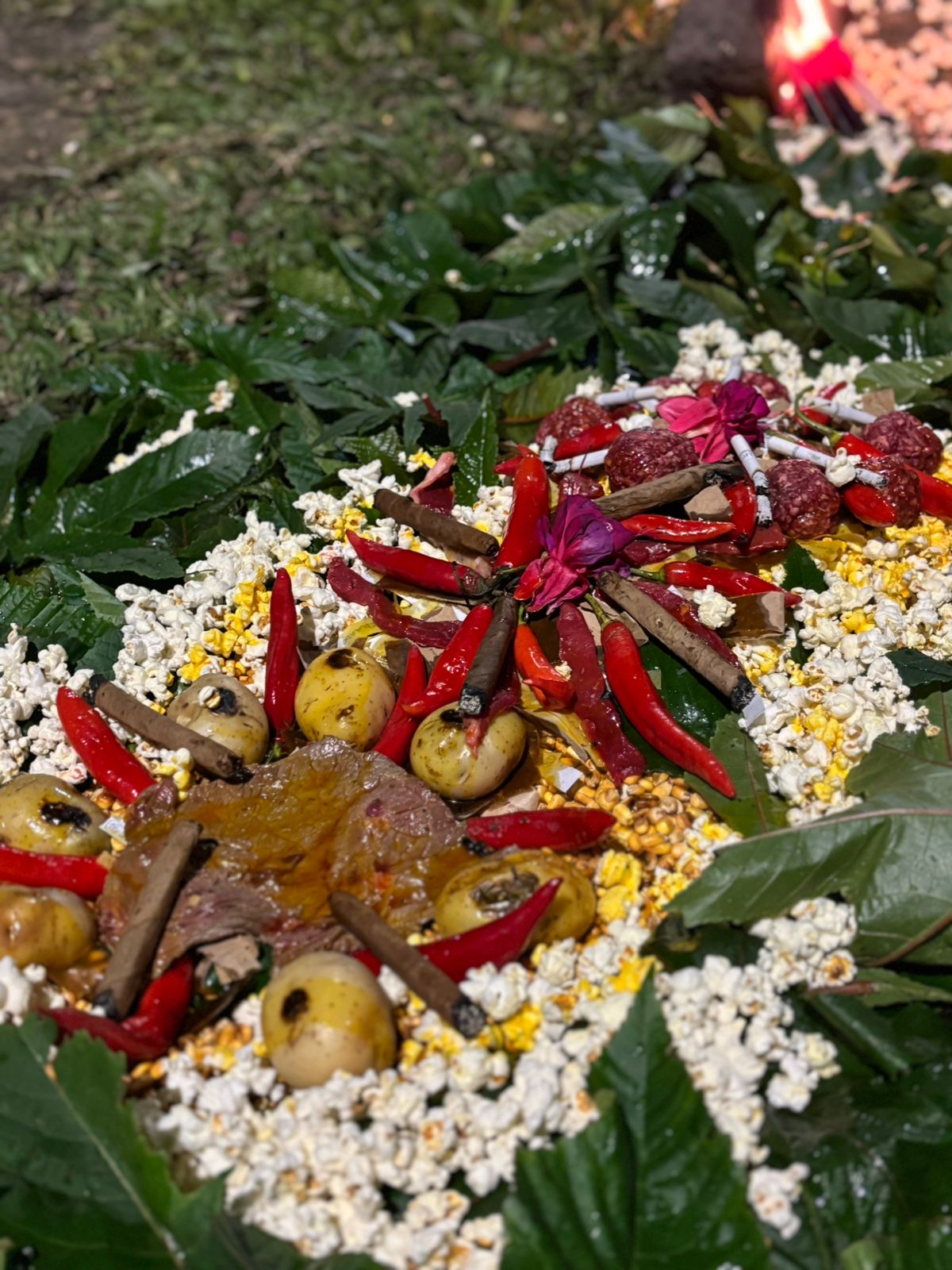 Abertura de Caminhos